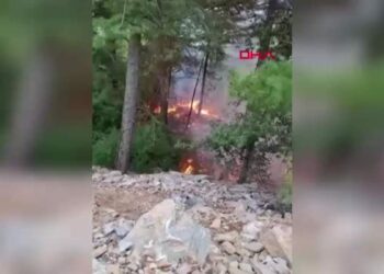 Düşen yıldırımdan çıkan yangında 1 dönüm alan zarar gördü