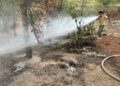 Kilis’te orman yangını