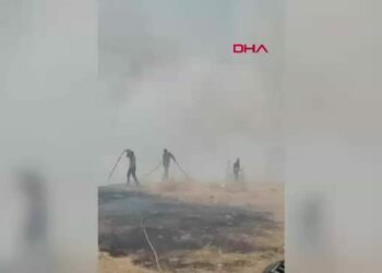 Diyarbakır'da örtü yangını