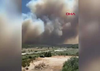 Seydikemer'de tarım arazisinde çıkan yangın, Kaş'ta ormana sıçradı / Aktüel görüntüler