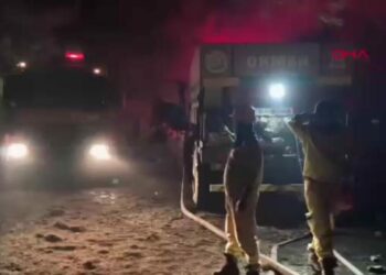 Seydikemer'de tarım arazisinde çıkan yangın, Kaş'ta ormana sıçradı; enerjisi düşürüldü -2