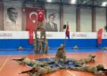 Nevşehir’de Zafer Bayramı coşkusu; eğitimli köpek Nefes'in gösterisi ilgiyle izlendi