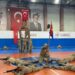 Nevşehir’de Zafer Bayramı coşkusu; eğitimli köpek Nefes'in gösterisi ilgiyle izlendi