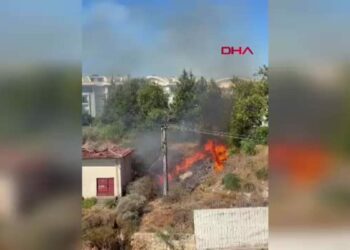 Manavgat’ta elektrik trafosu yangına neden oldu
