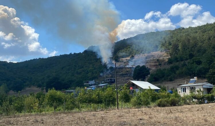 Bursa'da orman yangını