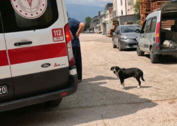 Köpeğe çarpmamak için manevra yapınca motosikleti devrilip, yaralandı