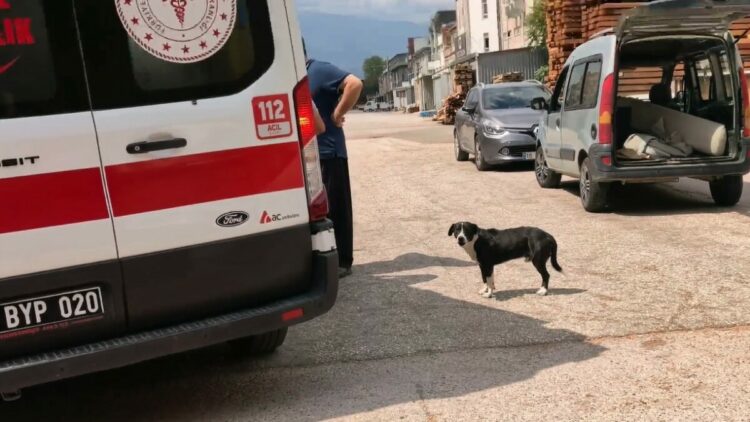 Köpeğe çarpmamak için manevra yapınca motosikleti devrilip, yaralandı