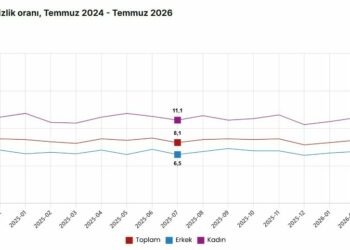 TÜİK: İşsizlik oranı yüzde 8,1 seviyesinde gerçekleşti