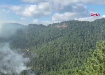 Antalya'daki orman yangını, 22 saatte kontrol altına alındı