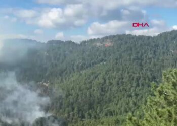 Antalya'da 2 günde 38 yangın