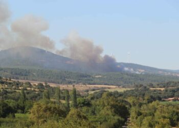 Çanakkale'de orman yangını
