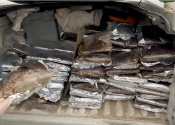 Samsun'da 132 kilo toz esrar ele geçirildi; 1 gözaltı