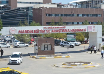 Muhammed Aras’ın ölümü sonrası uzmandan uyarı: Camlar açık olsa da araç içi fırına dönüyor