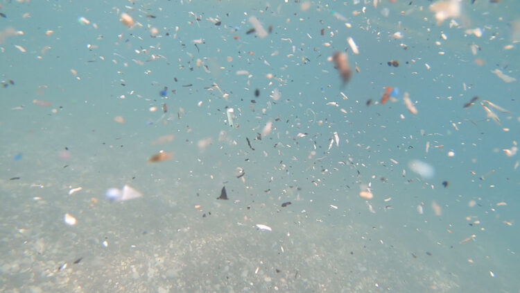 Antalya kıyılarında mikroplastik alarmı; canlıların ölümüne sebep olabiliyor