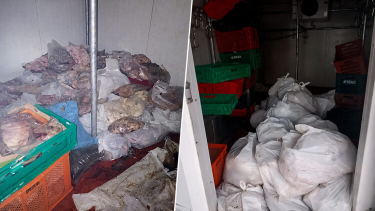 Kötü koku ihbarı ekipleri harekete geçirdi! Kasabın deposundan 400 kilo bozuk et çıktı