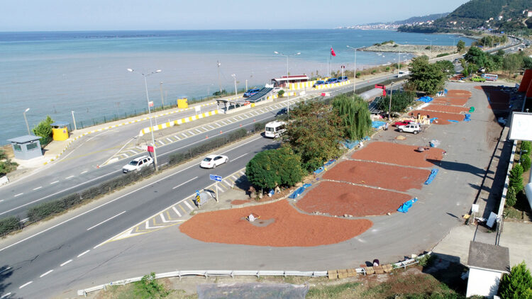 Fındık hasadı tamamlandı: Sahil yolu kenarında fındık kurutma mesaisi başladı