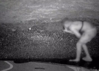 Koruma altındaki Akdeniz foklarının yuvasına girdi: Fotokapanla görüntülendi