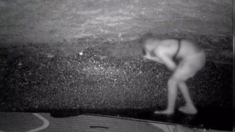 Koruma altındaki Akdeniz foklarının yuvasına girdi: Fotokapanla görüntülendi