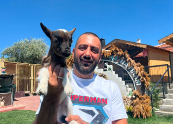 2 cüce keçiyle kurduğu çiftlikte 90 başlık sürüye ulaştı