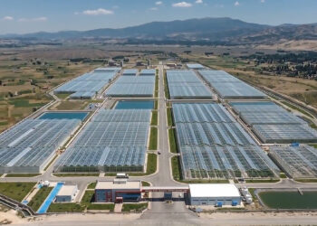 Simav Jeotermal Isıtmalı Sera Organize Tarım Bölgesi üretime hazır