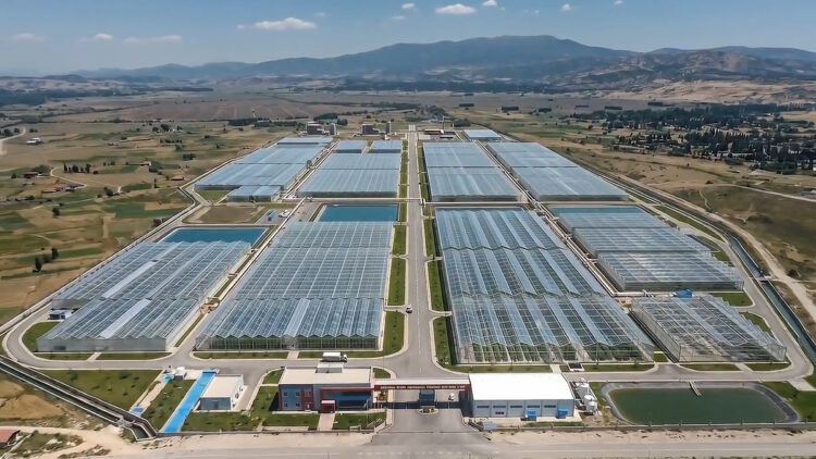 Simav Jeotermal Isıtmalı Sera Organize Tarım Bölgesi üretime hazır