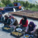 Manisa’nın 138 yıllık tescilli eriği dünyaya açıldı: 12 ay sofralarda