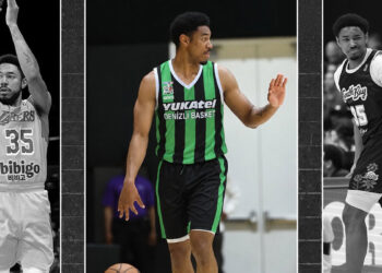 Denizli Basket'e yeni oyun kurucu