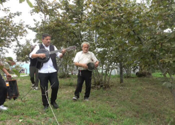 Fındık bahçesinde hasada ‘çalgılı mola’