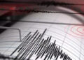 Adana gece yarısı beşik gibi sallandı: Deprem 5 ilde hissedildi