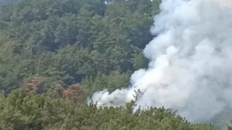 Adana’da yangın alarmı! Alevler yeniden dağlık bölgeyi sardı