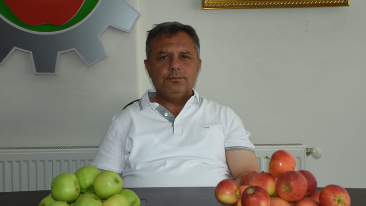 Niğde elması 12 ülkeye ihraç ediliyor
