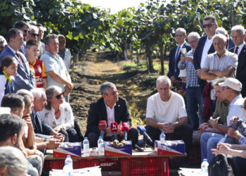Özgür Özel’den kivi fiyatlarına tepki: “Tarlada 40 lira, markette 350 lira”