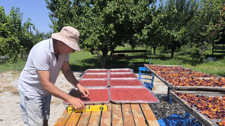 Anjelik erik, kurutmalık, pestil ve pekmez olarak sofralara geliyor