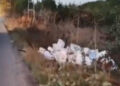Arnavutköy'de kasalar dolusu bozuk balığı araziye döktü; 40 bin lira para cezası kesildi