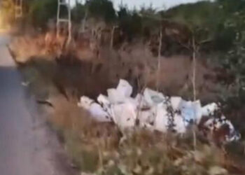 Arnavutköy'de kasalar dolusu bozuk balığı araziye döktü; 40 bin lira para cezası kesildi