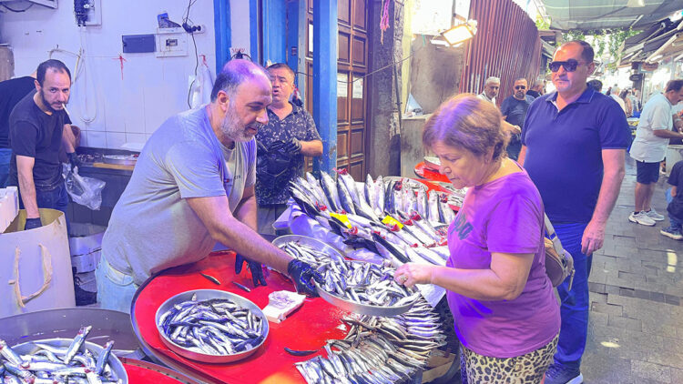 İzmir'de av sezonu başladı, balık tezgâhlarında çeşitlilik arttı