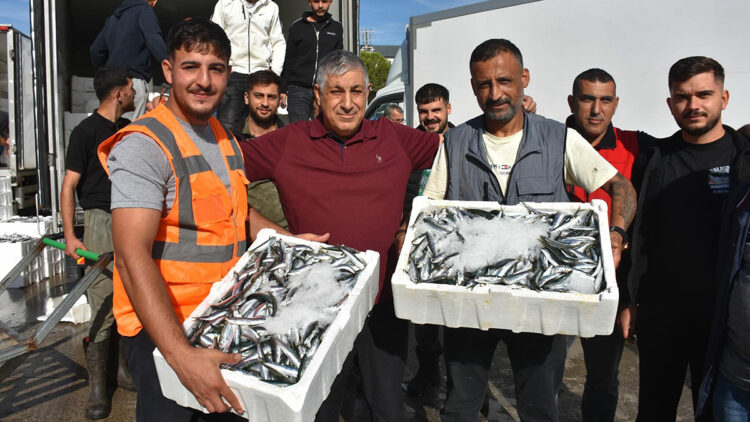 İzmir'de balık fiyatları düştü; palamut halde 60, tezgâhta 100 TL