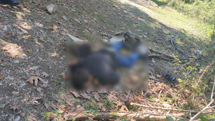 Kastamonu'da dere kenarında erkek cesedi bulundu: 1 gözaltı