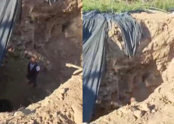 Aydın’da çilek bahçesinde kaçak kazıya suçüstü: 6 gözaltı