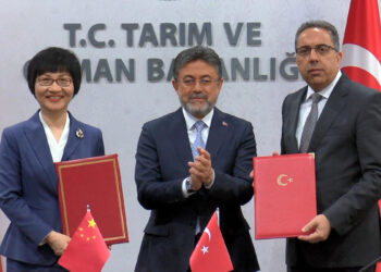 Türkiye ile Çin arasında defne ihracatı protokolü: 60 milyon dolarlık ihracat söz konusu