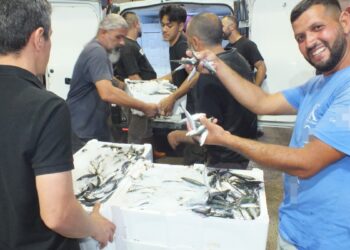 Balık avı sezonu açıldı, Bandırma Balık Hali’nde yoğunluk yaşandı