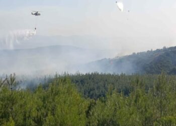 Çanakkale'deki orman yangınında 8 hektar alan zarar gördü