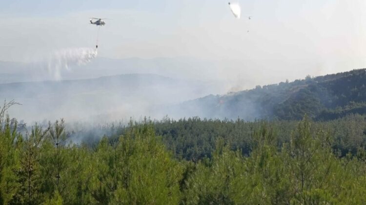 Çanakkale'deki orman yangınında 8 hektar alan zarar gördü