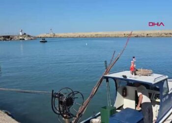 Zonguldak’ta balıkçılar 50 ton balıkla döndü