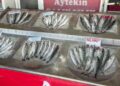 Tekirdağ'da palamut bereketi