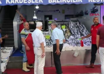 Av yasağı bitti, tezgahlar palamutla doldu