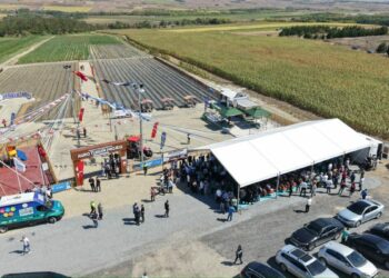 Arnavutköy’de dalından sebze ve meyve toplama deneyimi başladı