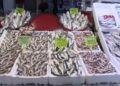 Rize’de sezonun ilk balıkları tezgahtaki yerlerini aldı