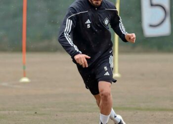 Altay'dan Sefa harekatı