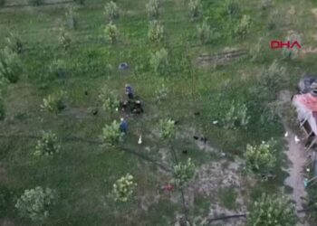 Çocukluk hayali için esnaflığı bıraktı, 20 yıldır kanatlı hayvan üretiyor
